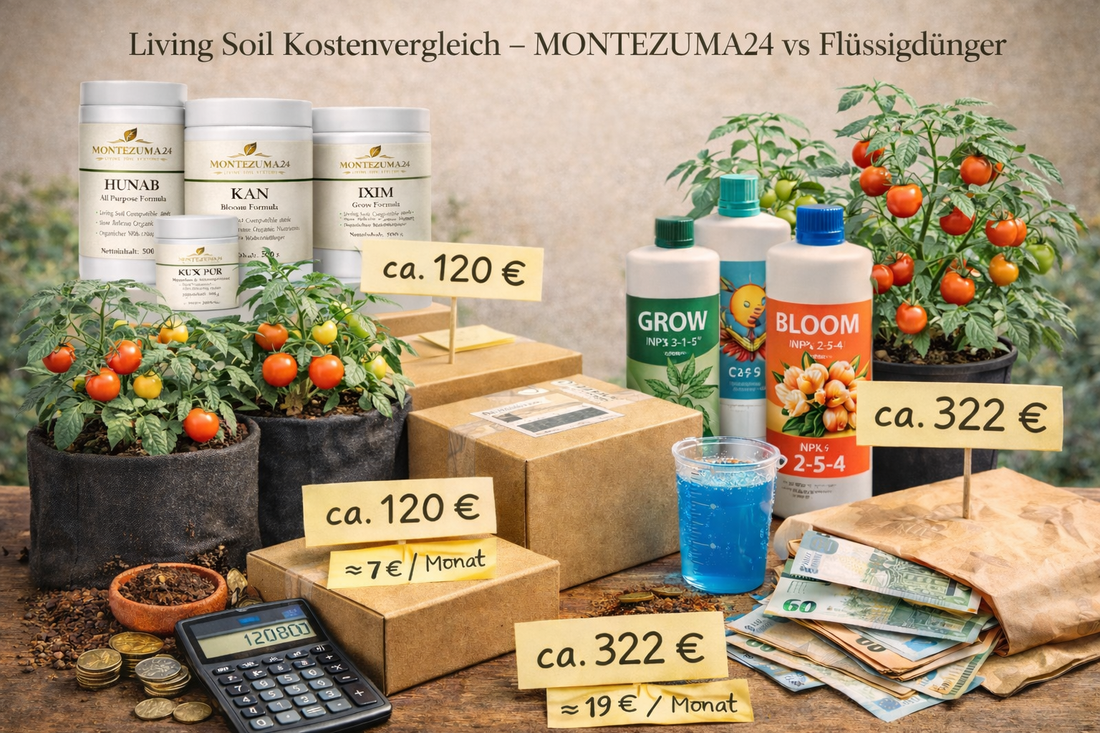 Kostenvergleich Living Soil und Flüssigdünger für Pflanzenanbau über 3 Monate 🌱