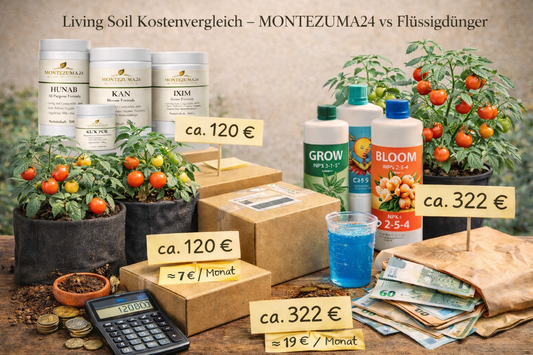 Kostenvergleich Living Soil und Flüssigdünger für Pflanzenanbau über 3 Monate 🌱
