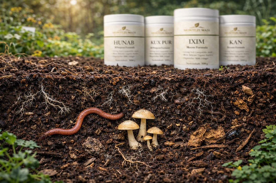 Living Soil Bodenökosystem mit Mikroorganismen, Pilzen und Wurm für natürliche Nährstofffreisetzung und gesunde Pflanzen 🌱