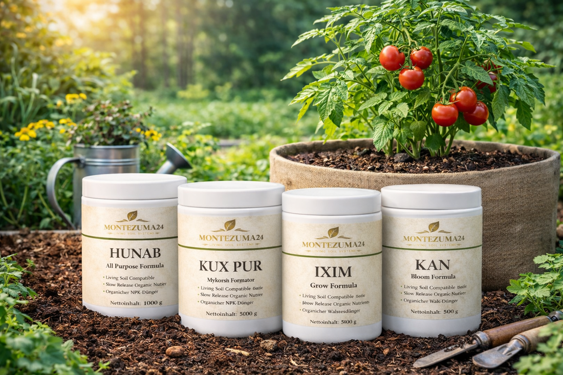 🌱 Living Soil ohne Stress – Das natürliche Grow-System für gesunde Pflanzen