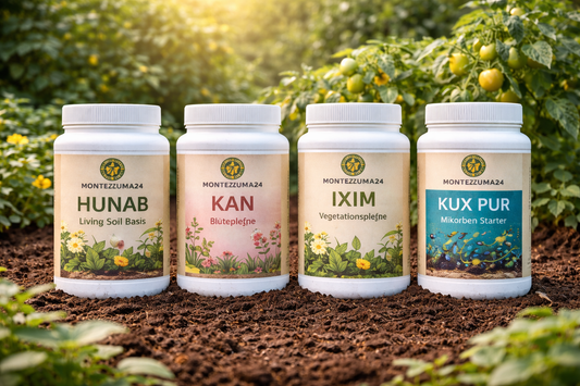 Montezuma24 Living Soil System mit HUNAB, KAN, IXIM und KUX PUR auf lebendiger Erde im Garten für gesunde Pflanzen 🌱
