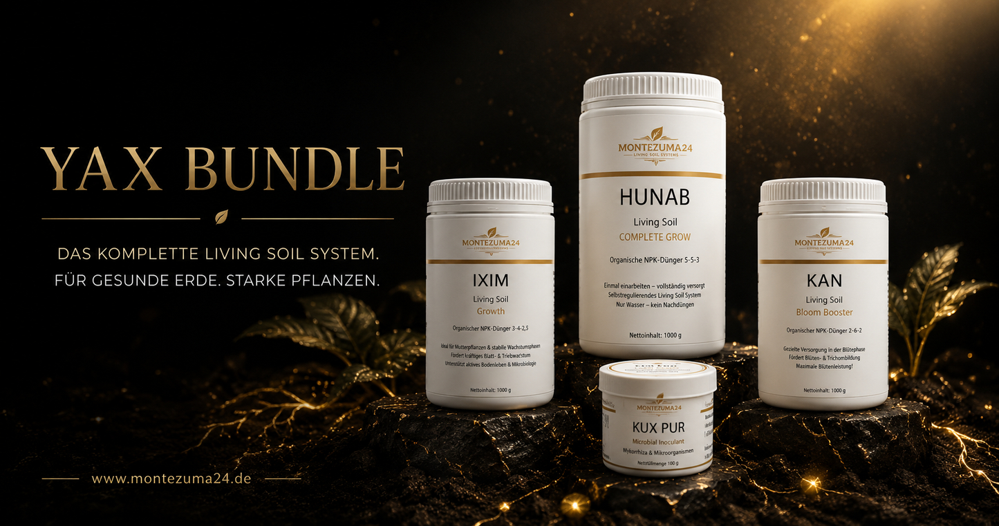 YAX – Complete Living Soil System | MONTEZUMA24
