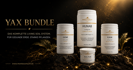 YAX – Complete Living Soil System | MONTEZUMA24