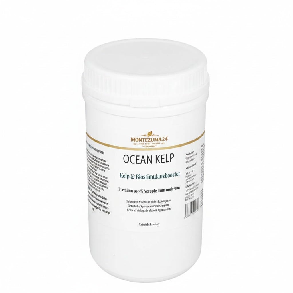 MONTEZUMA24 OCEAN KELP – Kelpmehl aus Ascophyllum nodosum für Living Soil, 1000 g